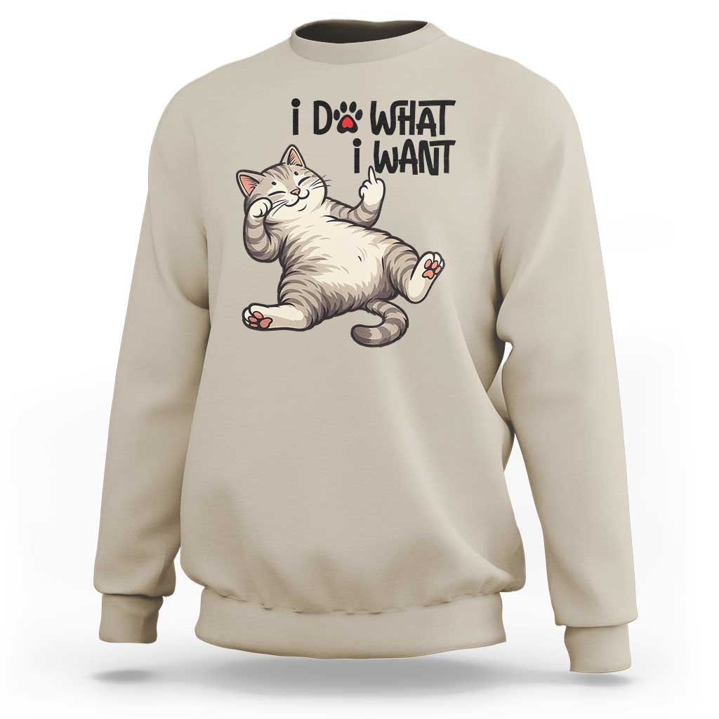 Cat Lover Sweatshirt Funny I Do What I Want - Wonder Print Shop