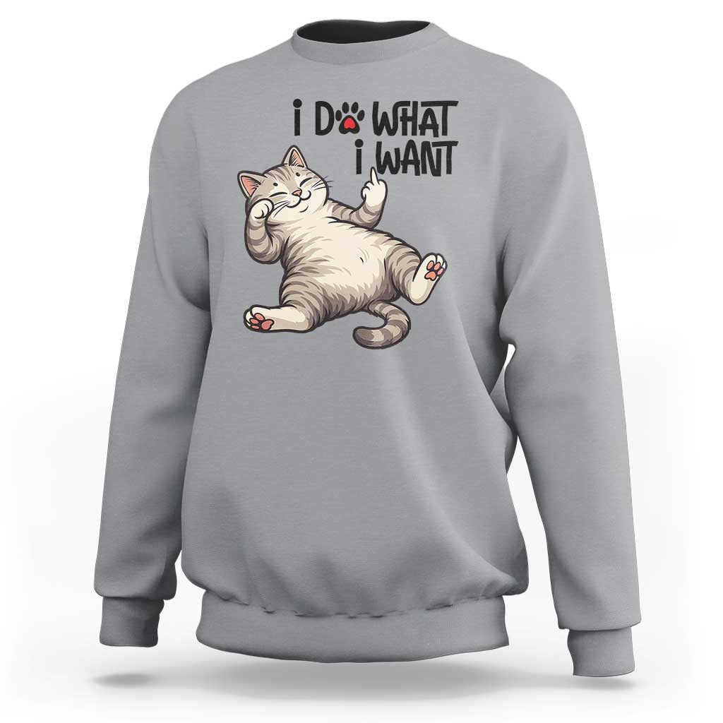 Cat Lover Sweatshirt Funny I Do What I Want - Wonder Print Shop