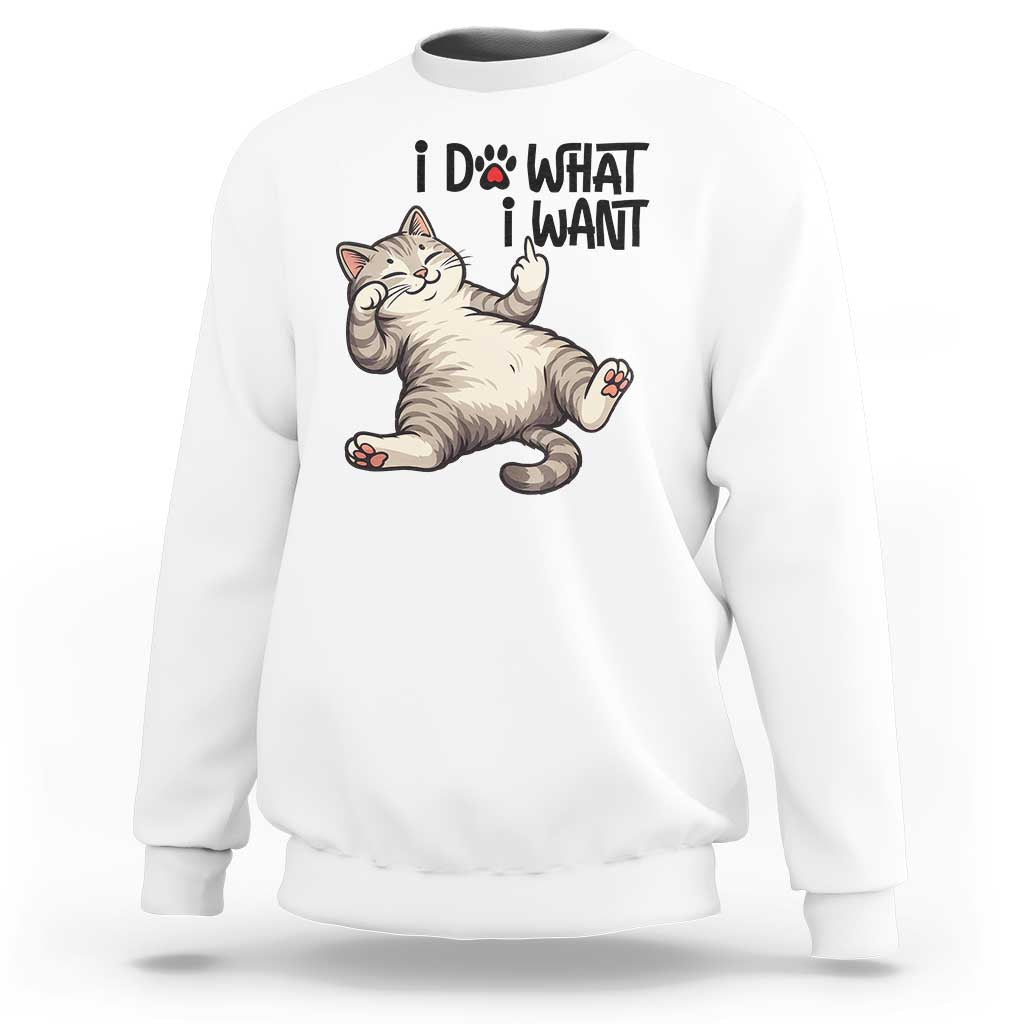 Cat Lover Sweatshirt Funny I Do What I Want - Wonder Print Shop