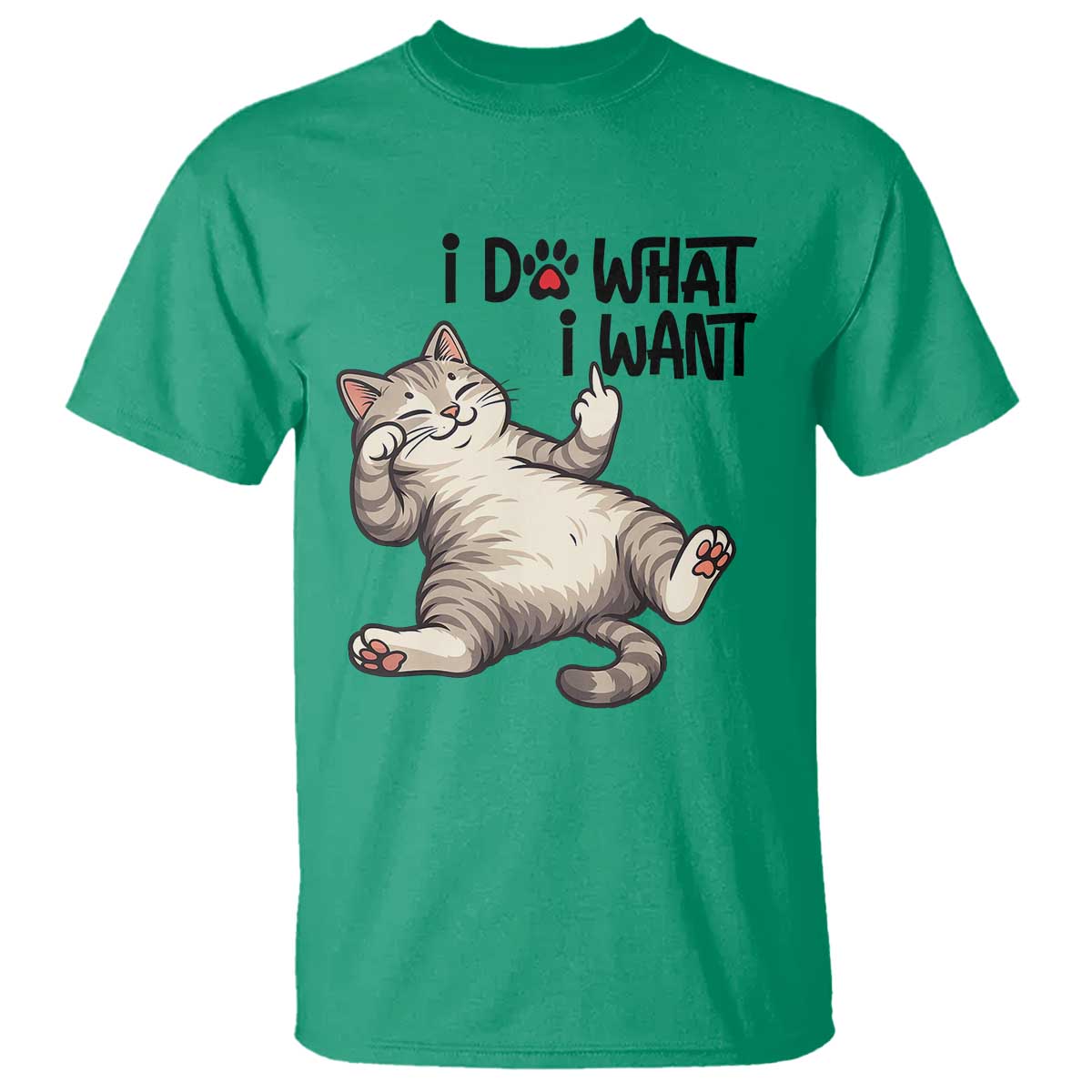 Cat Lover T Shirt Funny I Do What I Want - Wonder Print Shop