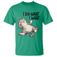 Cat Lover T Shirt Funny I Do What I Want - Wonder Print Shop