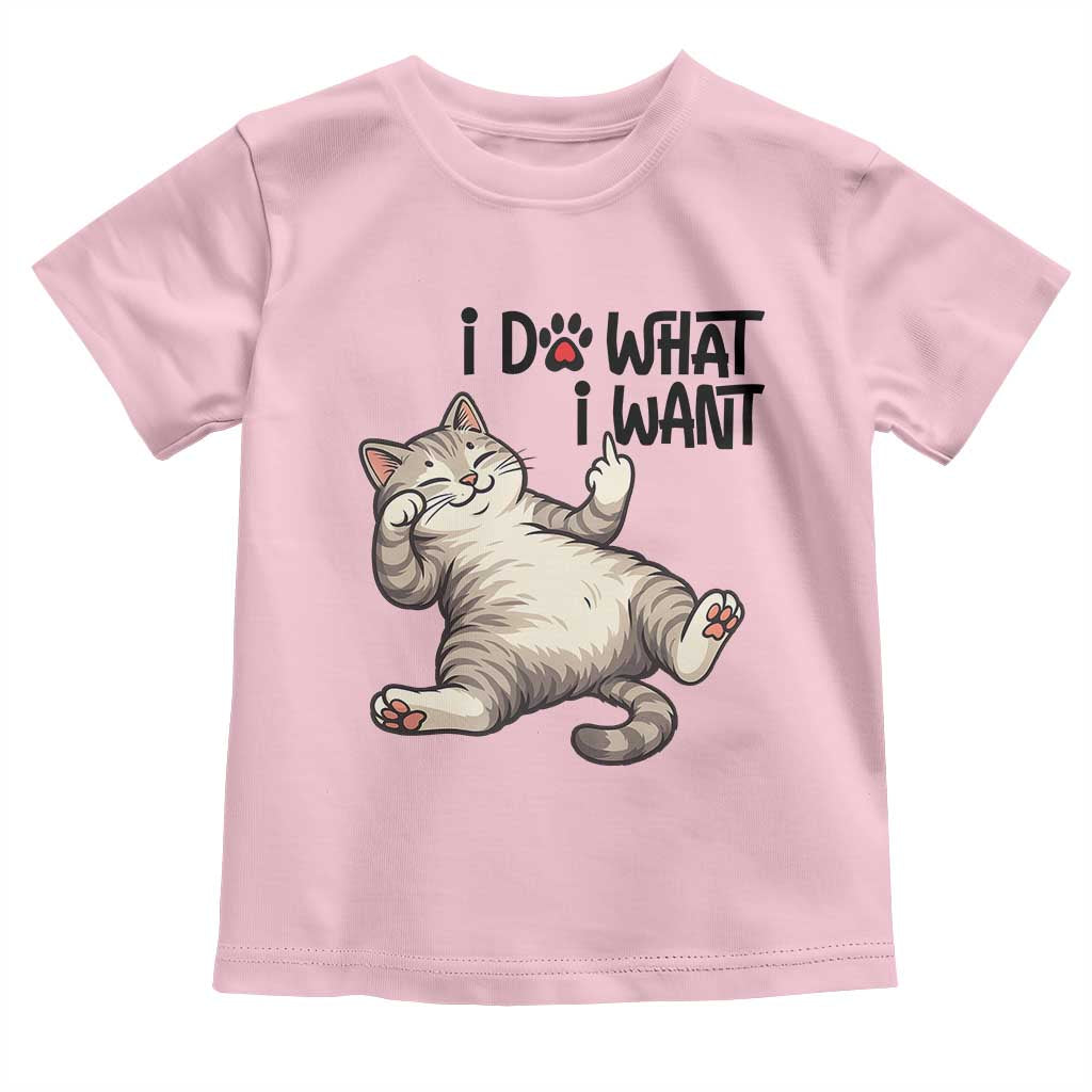 Cat Lover Toddler T Shirt Funny I Do What I Want - Wonder Print Shop