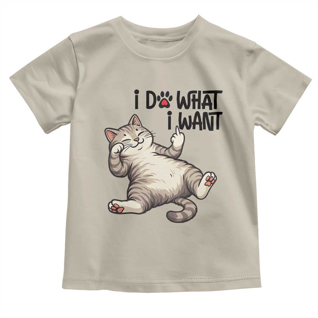Cat Lover Toddler T Shirt Funny I Do What I Want - Wonder Print Shop