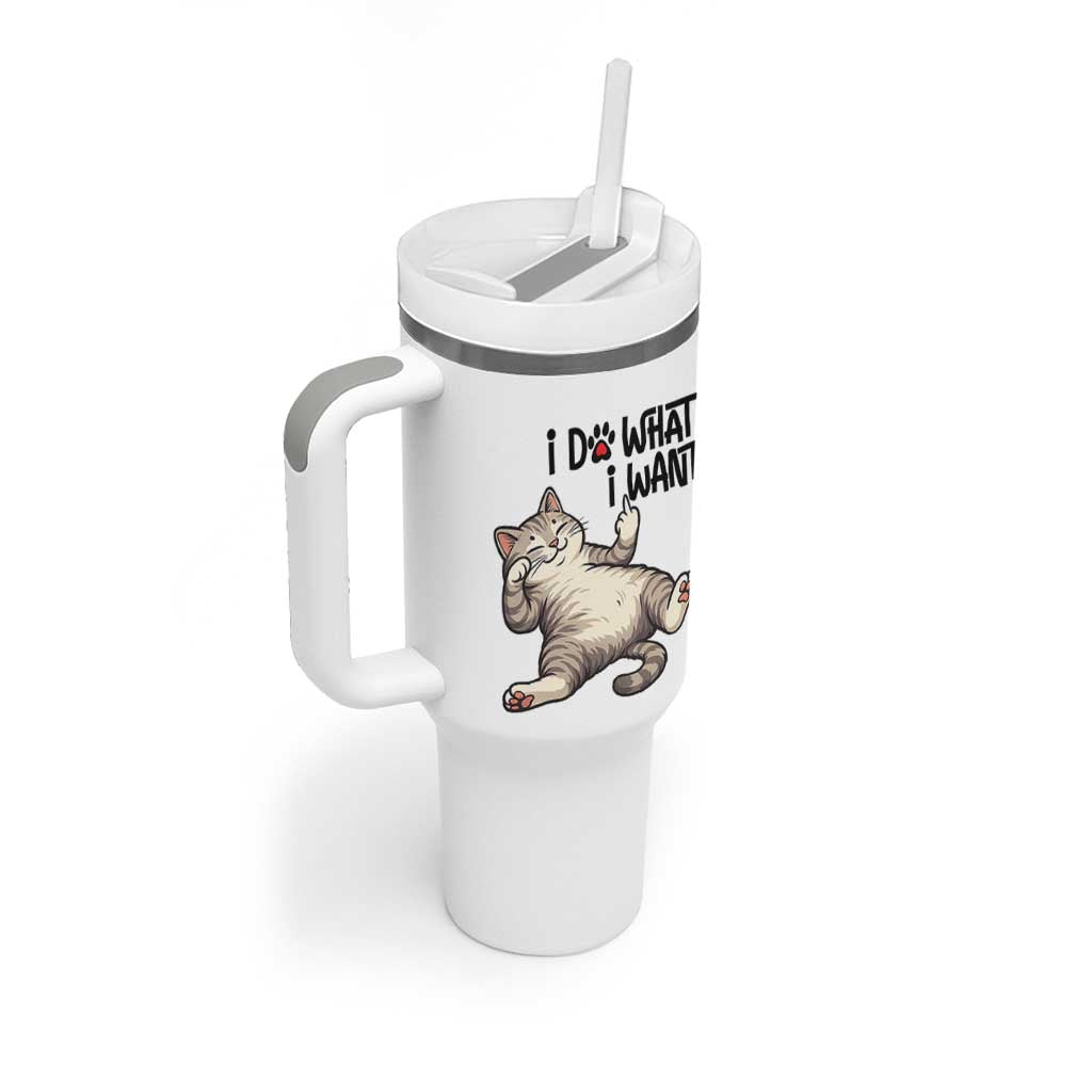 Cat Lover Tumbler With Handle Funny I Do What I Want