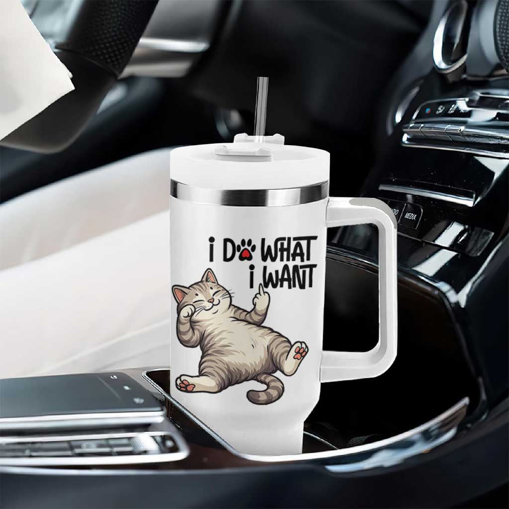 Cat Lover Tumbler With Handle Funny I Do What I Want