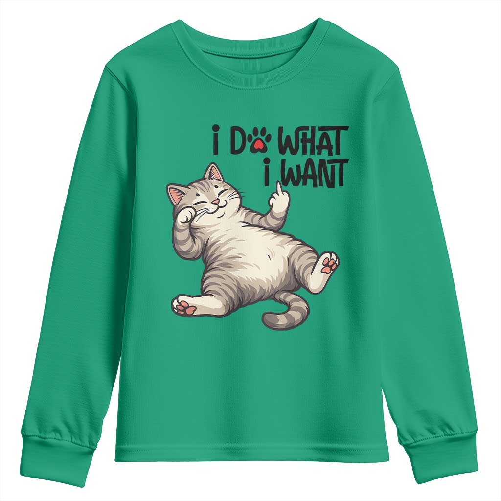 Cat Lover Youth Sweatshirt Funny I Do What I Want - Wonder Print Shop