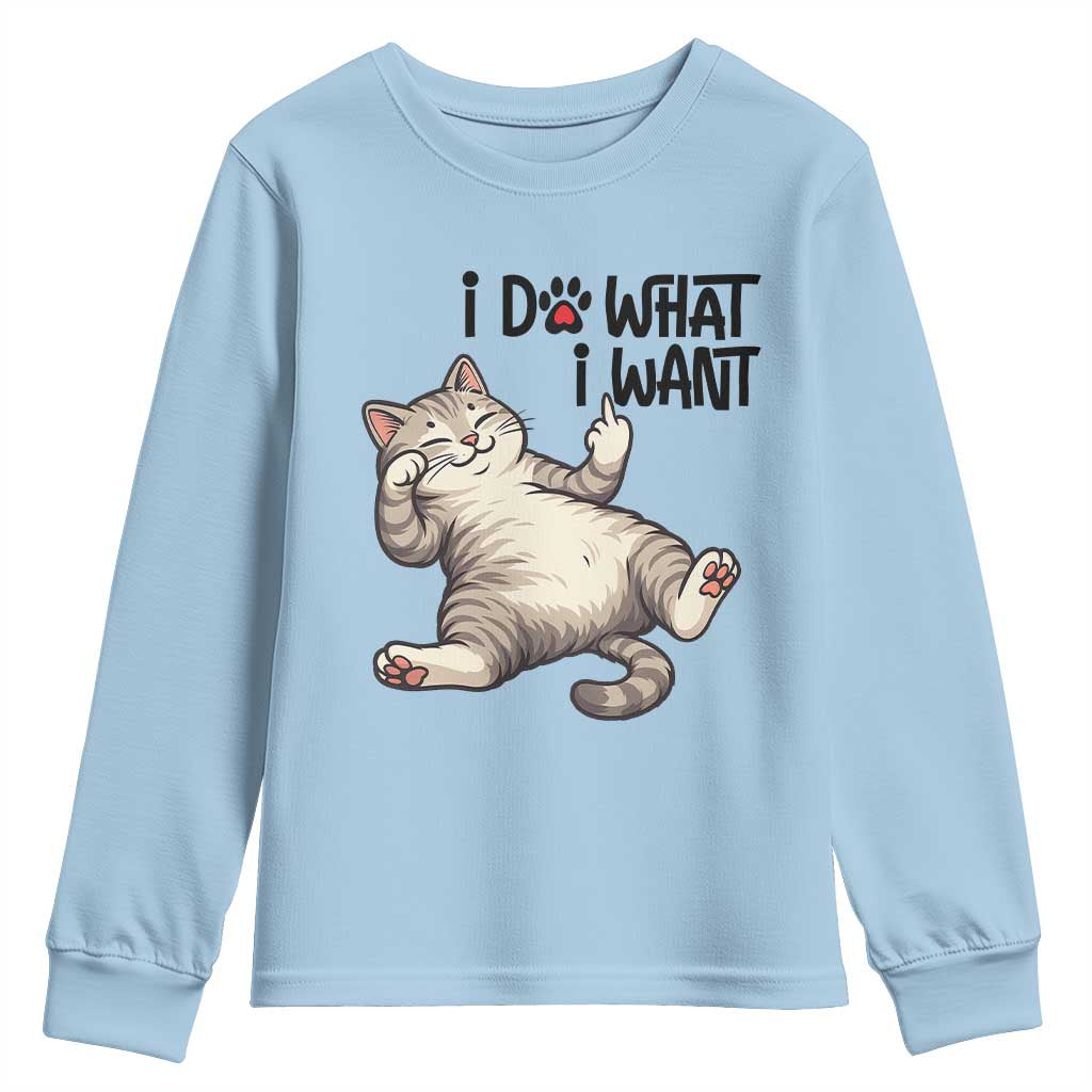 Cat Lover Youth Sweatshirt Funny I Do What I Want - Wonder Print Shop