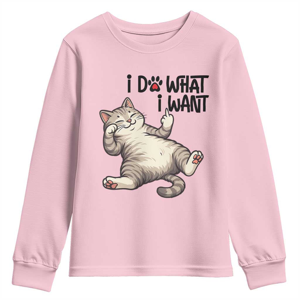 Cat Lover Youth Sweatshirt Funny I Do What I Want - Wonder Print Shop
