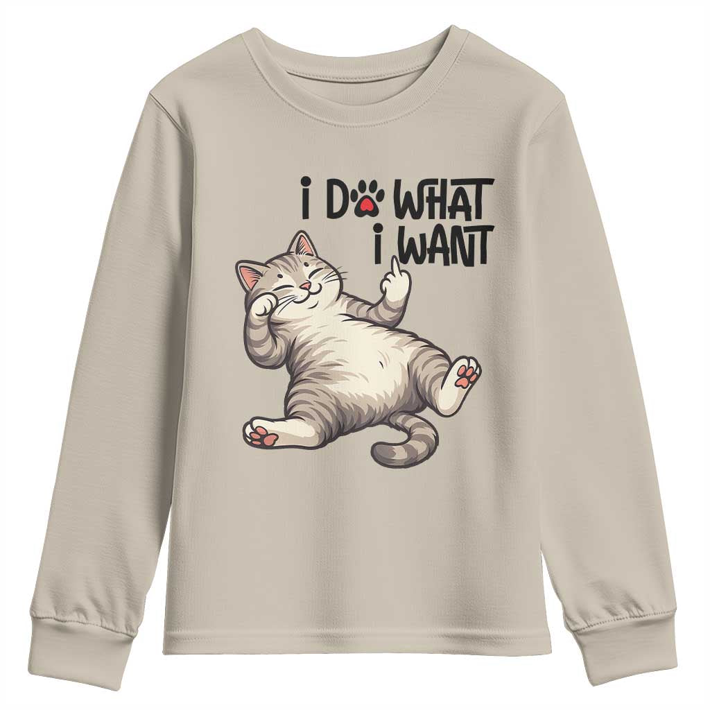Cat Lover Youth Sweatshirt Funny I Do What I Want - Wonder Print Shop
