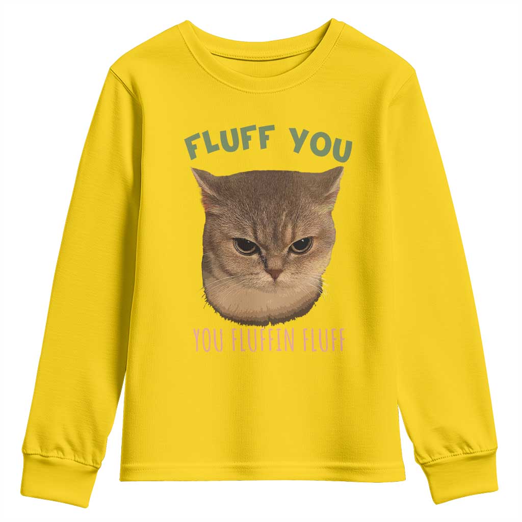 Cat Meme Youth Sweatshirt Funny Fluff You You Fluffin Fluff Cat Lover - Wonder Print Shop