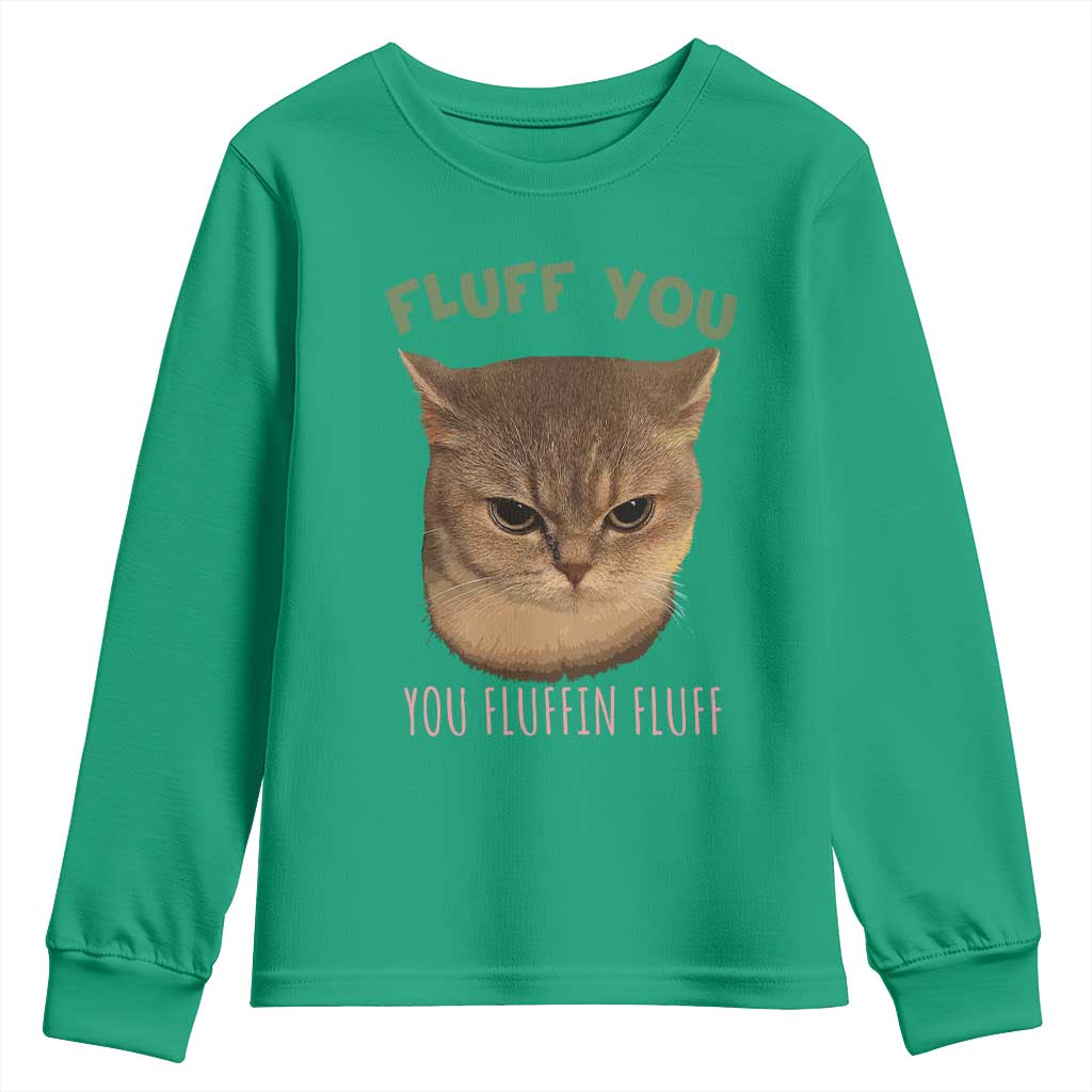 Cat Meme Youth Sweatshirt Funny Fluff You You Fluffin Fluff Cat Lover - Wonder Print Shop