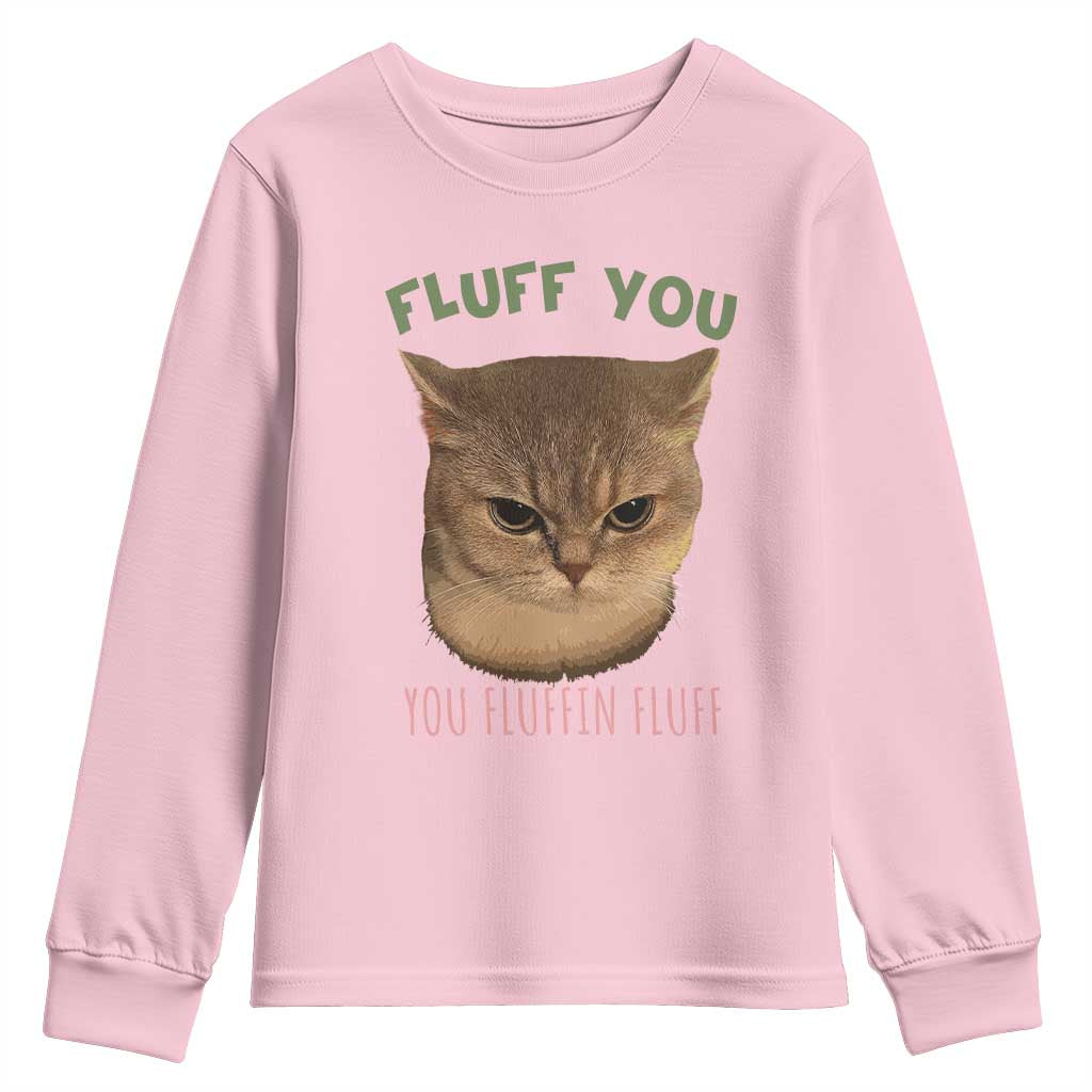 Cat Meme Youth Sweatshirt Funny Fluff You You Fluffin Fluff Cat Lover - Wonder Print Shop