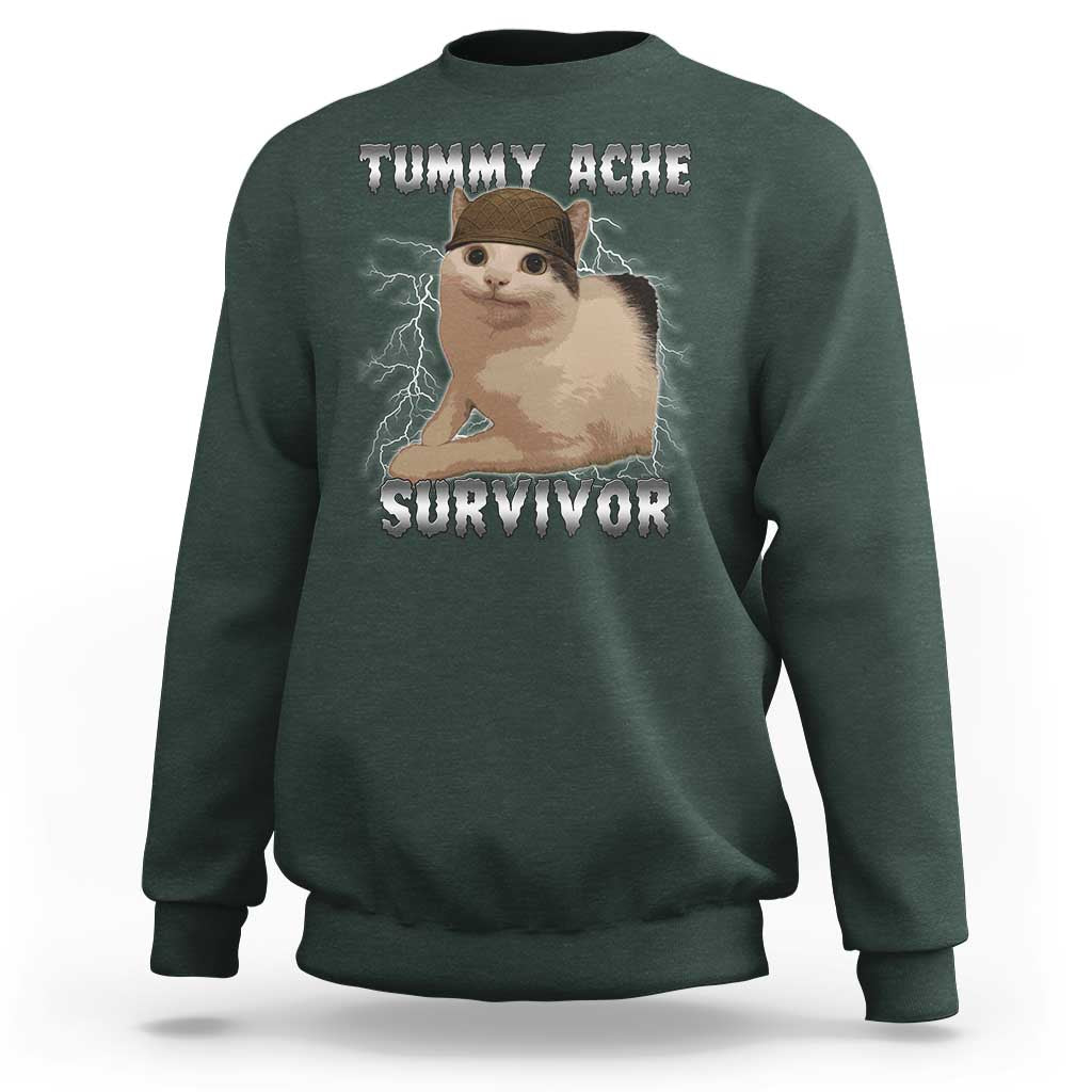 Tummy Ache Survivor Sweatshirt Cat Meme Humor Gift - Wonder Print Shop