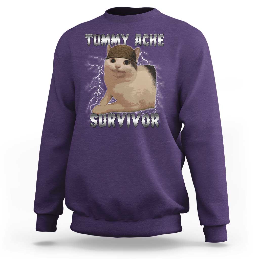 Tummy Ache Survivor Sweatshirt Cat Meme Humor Gift - Wonder Print Shop