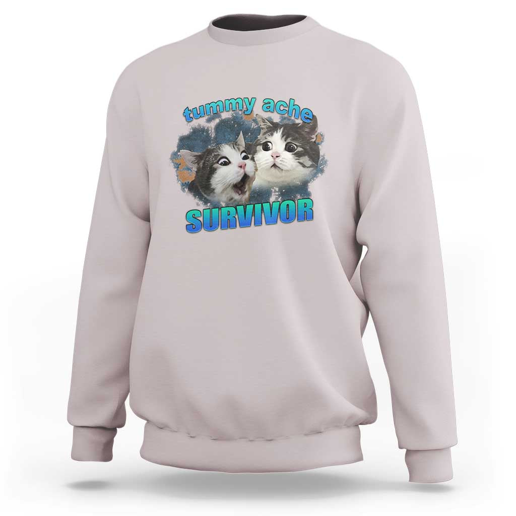 Tummy Ache Survivor Sweatshirt Funny Cat Meme For Cat Lover - Wonder Print Shop