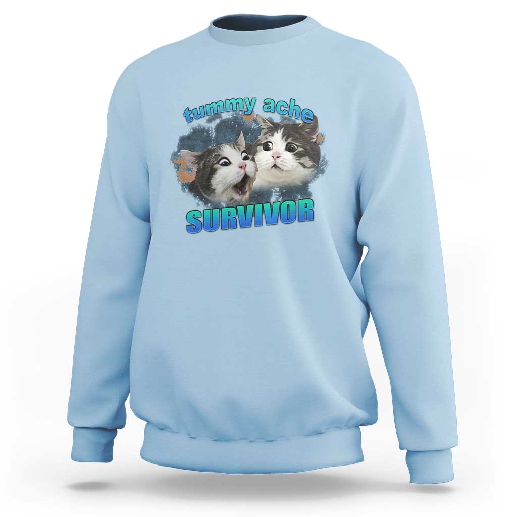 Tummy Ache Survivor Sweatshirt Funny Cat Meme For Cat Lover - Wonder Print Shop