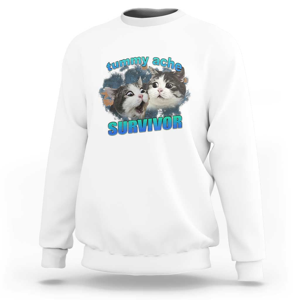 Tummy Ache Survivor Sweatshirt Funny Cat Meme For Cat Lover - Wonder Print Shop