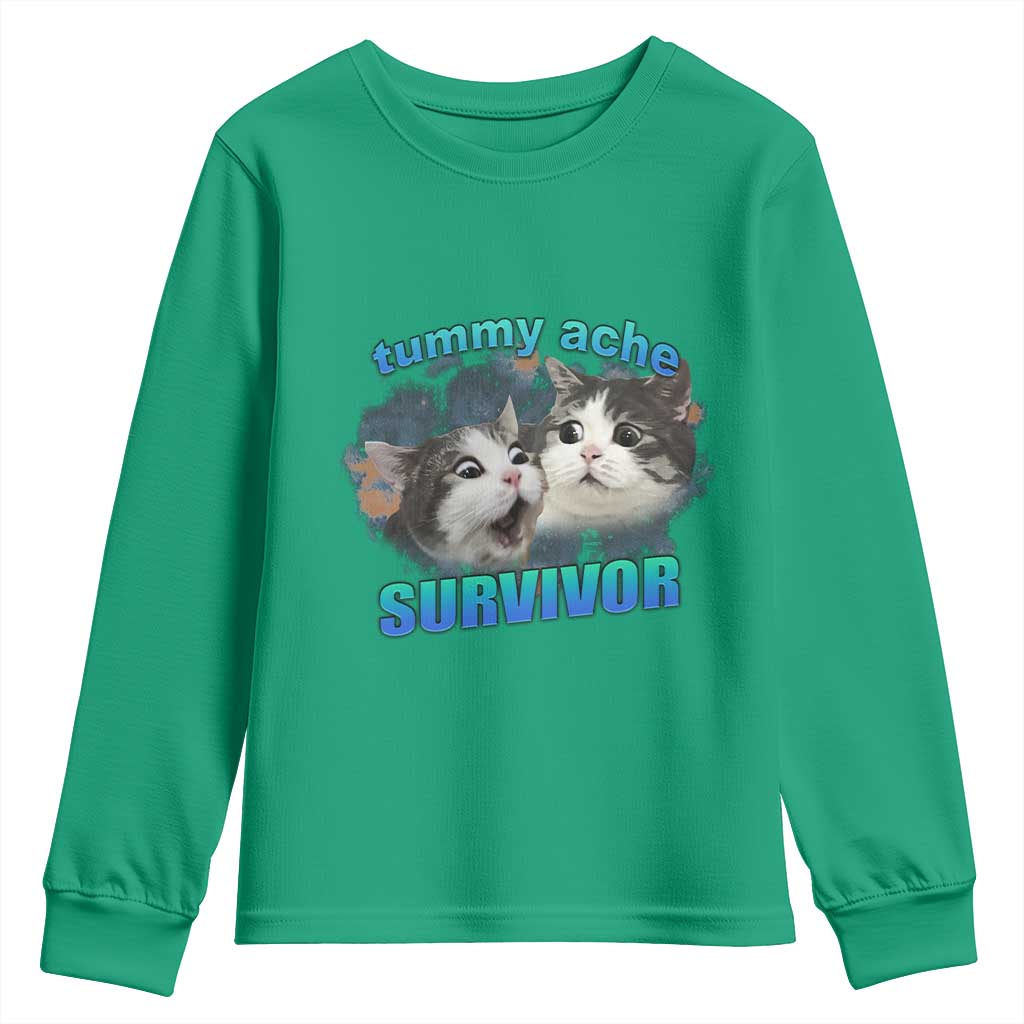 Tummy Ache Survivor Youth Sweatshirt Funny Cat Meme For Cat Lover - Wonder Print Shop