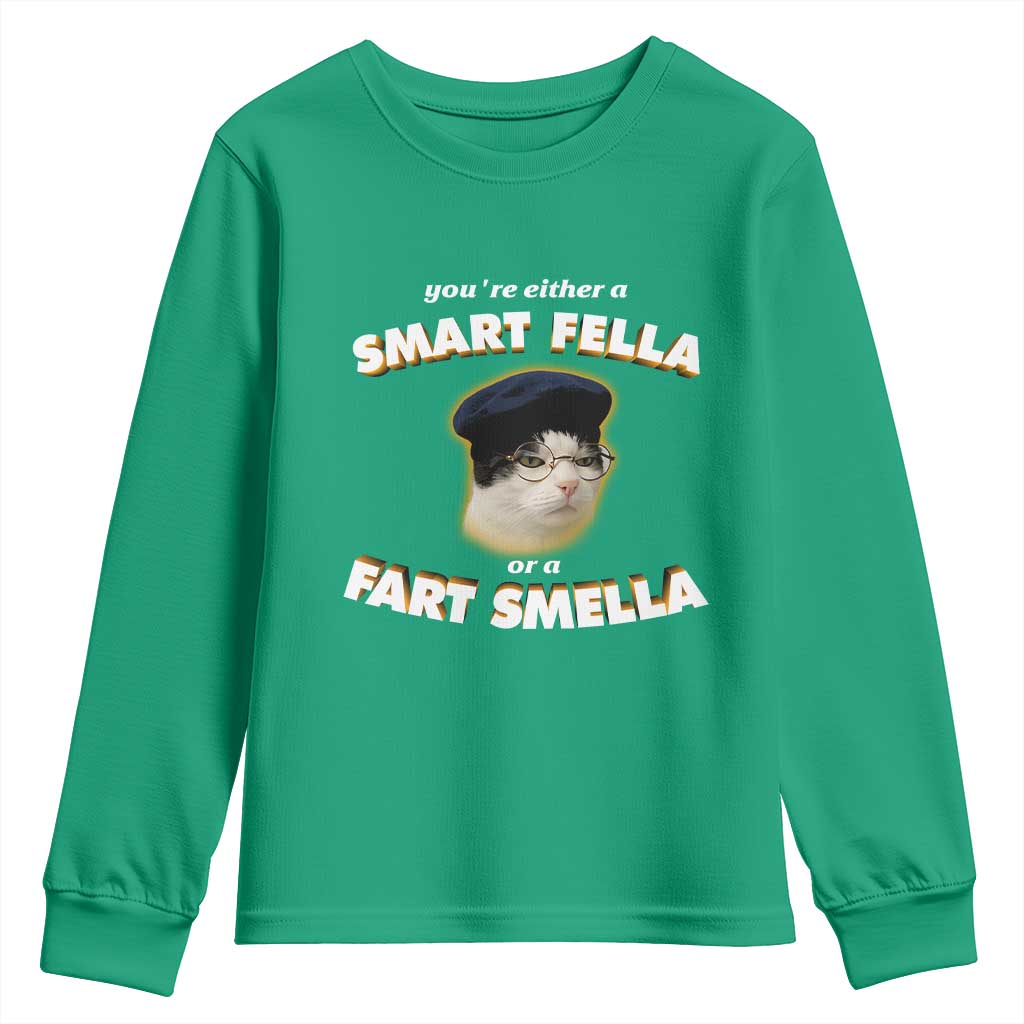 Funny Cat Farts Meme Youth Sweatshirt You're Either A Smart Fella Or A Fart Smella - Wonder Print Shop