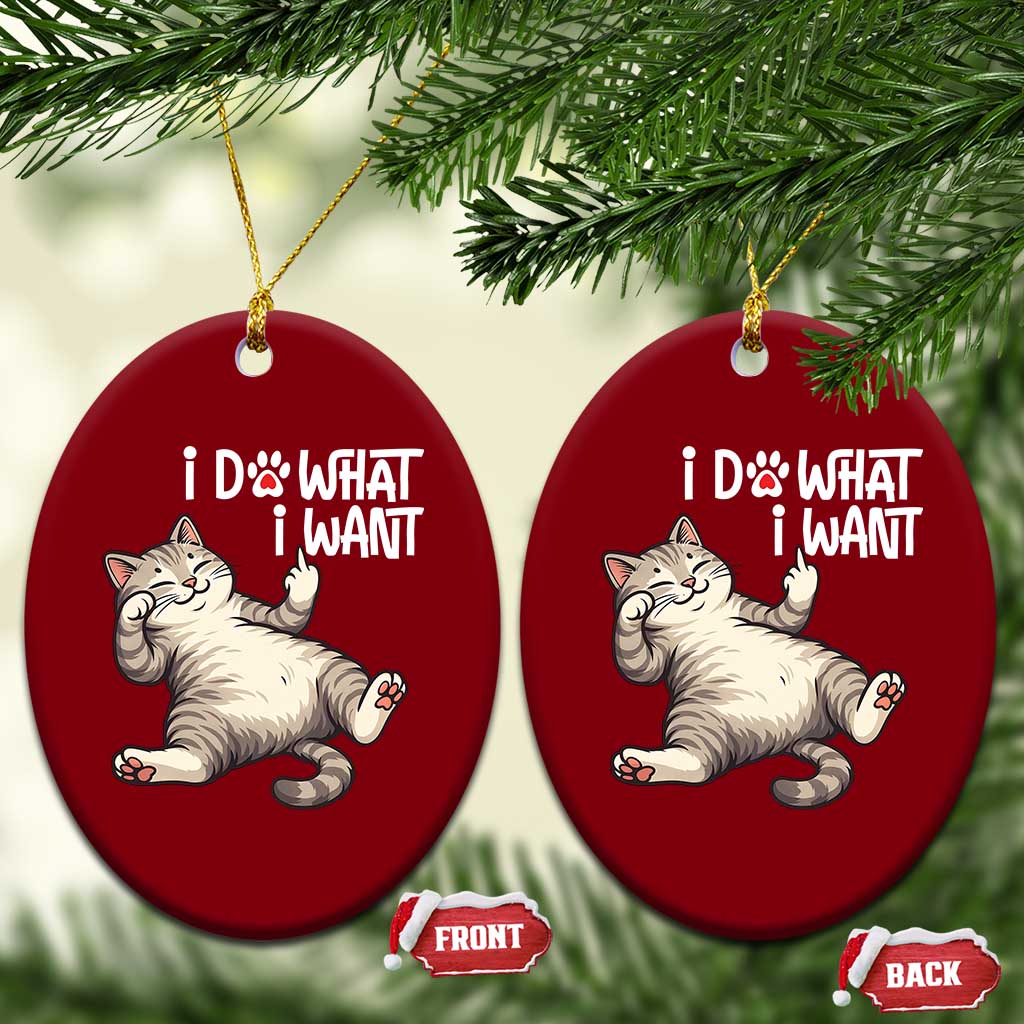 Funny Cat Ceramic Ornament I Do What I Want - Wonder Print Shop