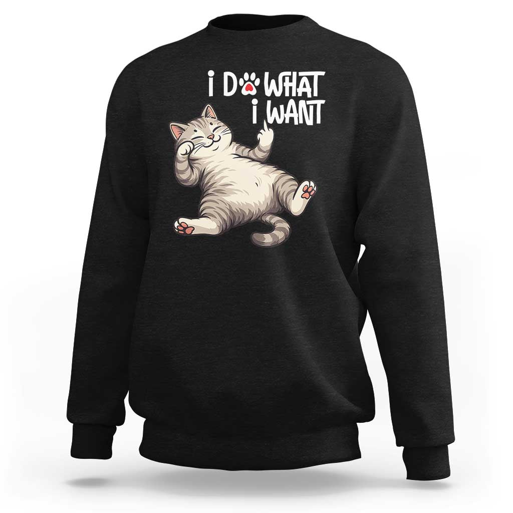 Funny Cat Sweatshirt I Do What I Want - Wonder Print Shop