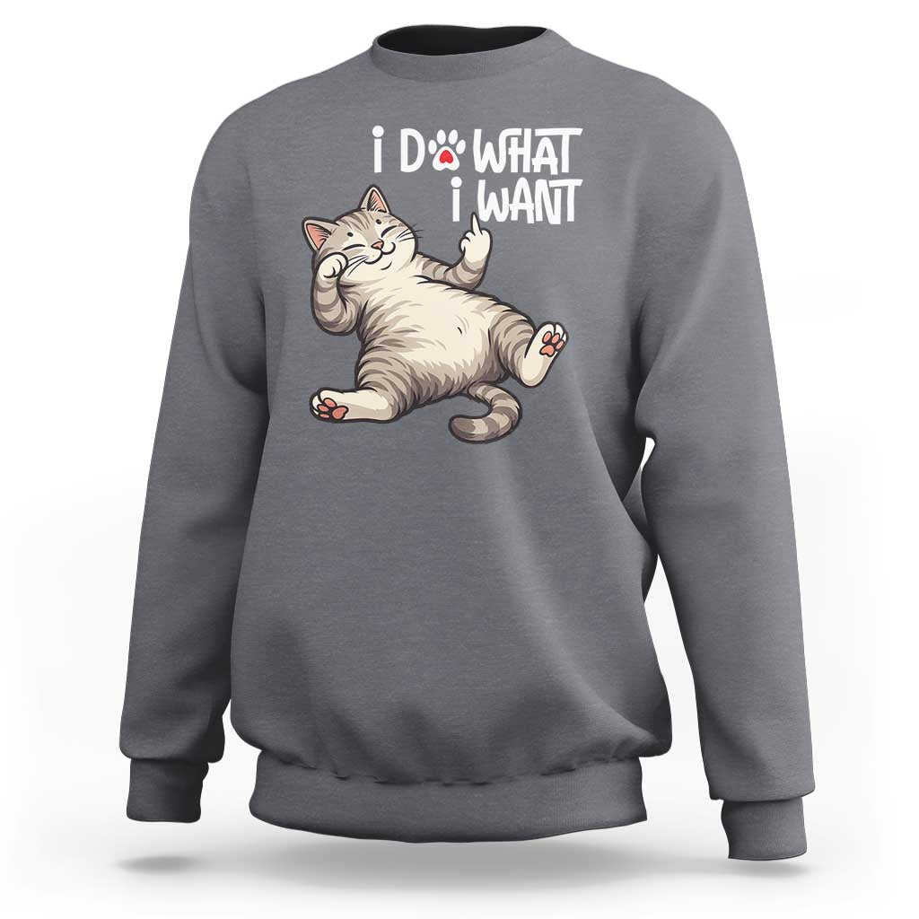 Funny Cat Sweatshirt I Do What I Want - Wonder Print Shop