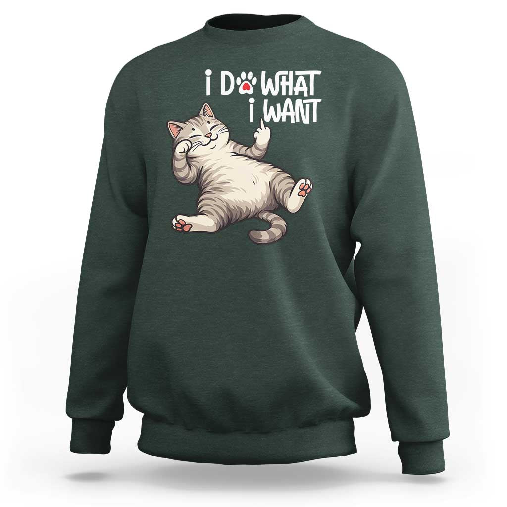 Funny Cat Sweatshirt I Do What I Want - Wonder Print Shop