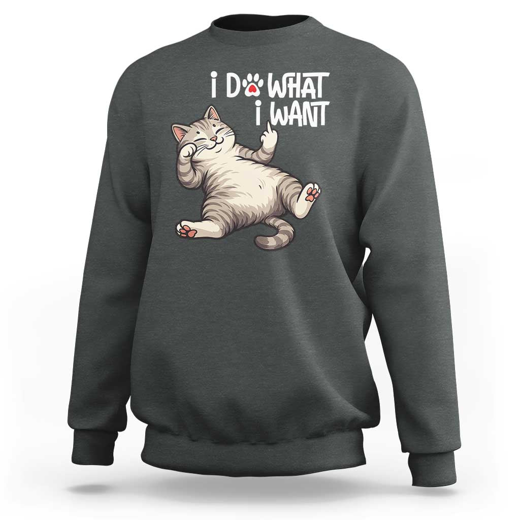 Funny Cat Sweatshirt I Do What I Want - Wonder Print Shop