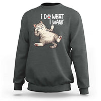 Funny Cat Sweatshirt I Do What I Want - Wonder Print Shop