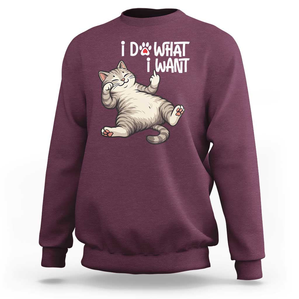Funny Cat Sweatshirt I Do What I Want - Wonder Print Shop
