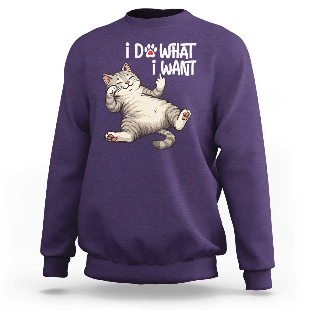 Funny Cat Sweatshirt I Do What I Want - Wonder Print Shop