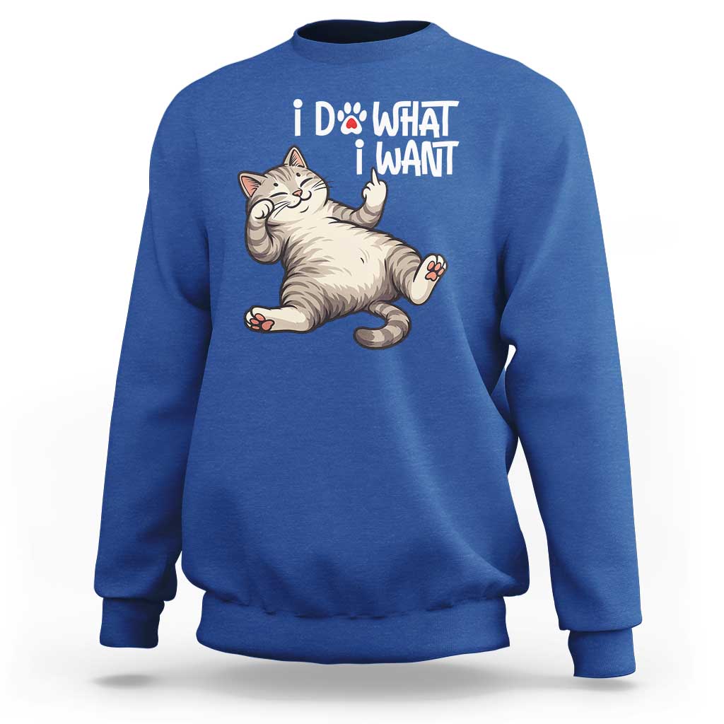 Funny Cat Sweatshirt I Do What I Want - Wonder Print Shop