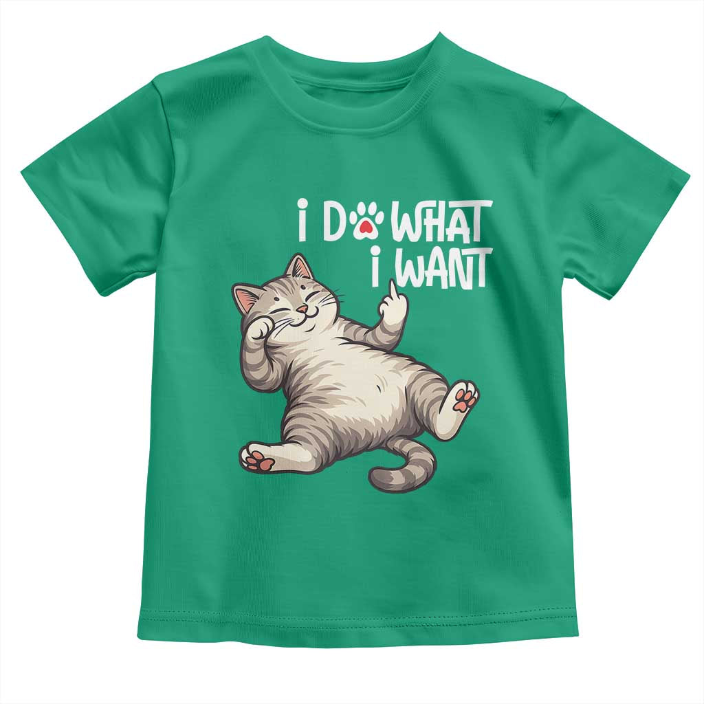 Funny Cat Toddler T Shirt I Do What I Want - Wonder Print Shop