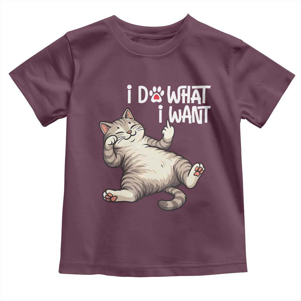 Funny Cat Toddler T Shirt I Do What I Want - Wonder Print Shop