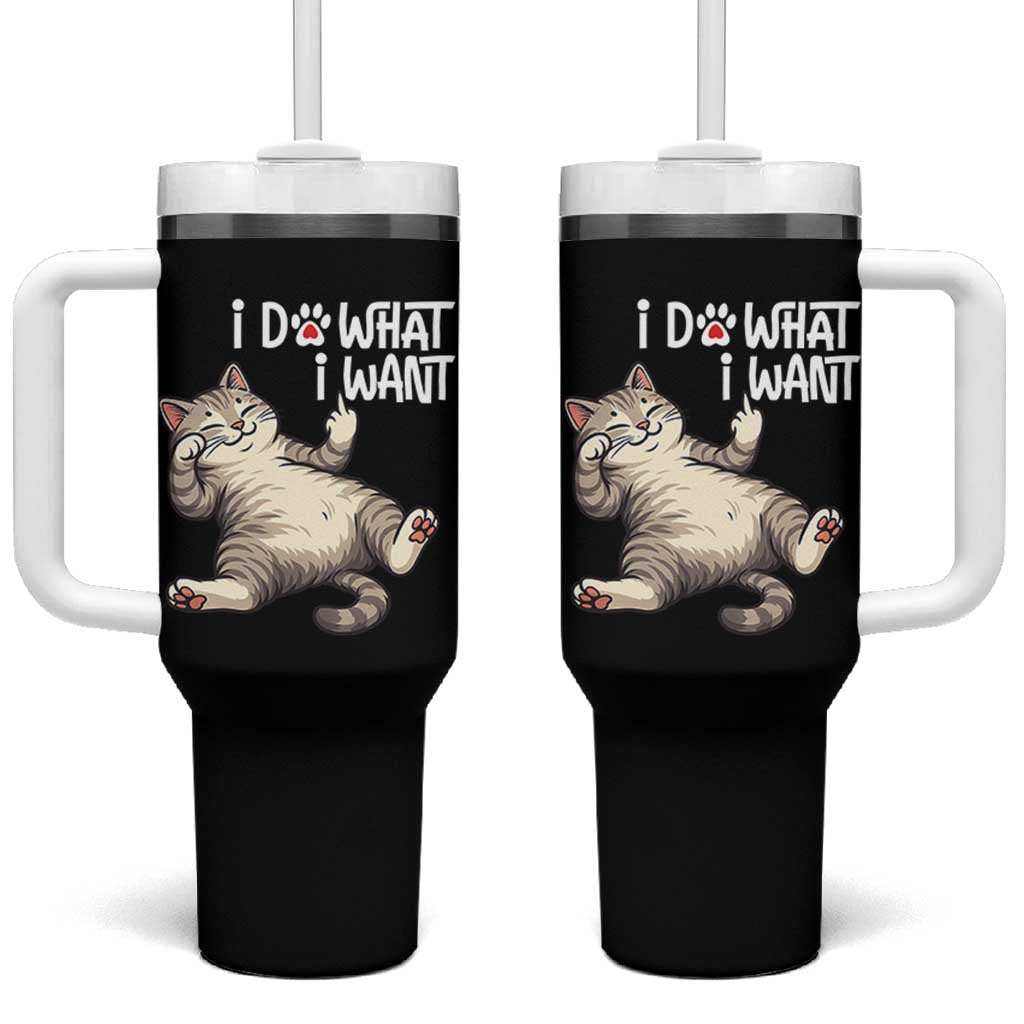 Funny Cat Tumbler With Handle I Do What I Want