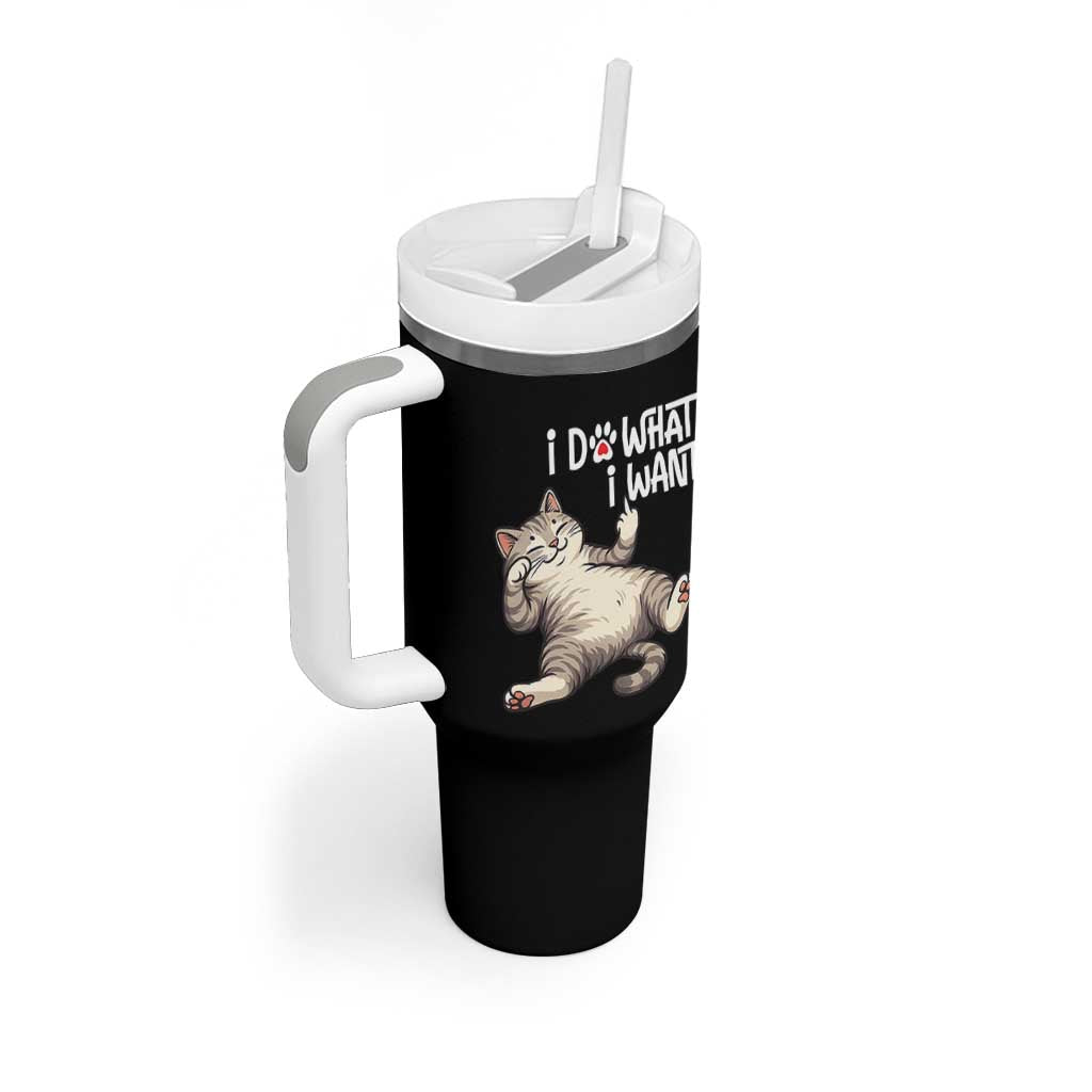Funny Cat Tumbler With Handle I Do What I Want
