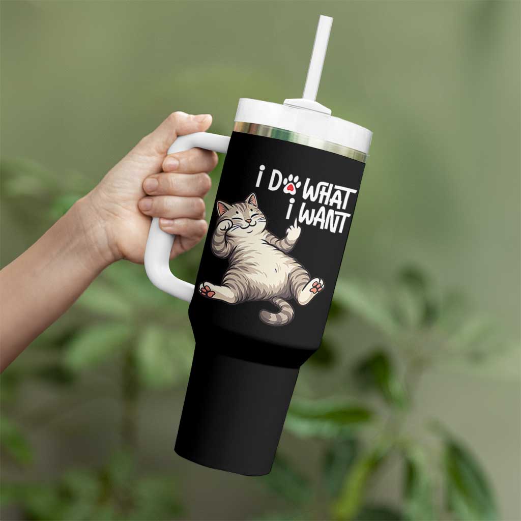 Funny Cat Tumbler With Handle I Do What I Want