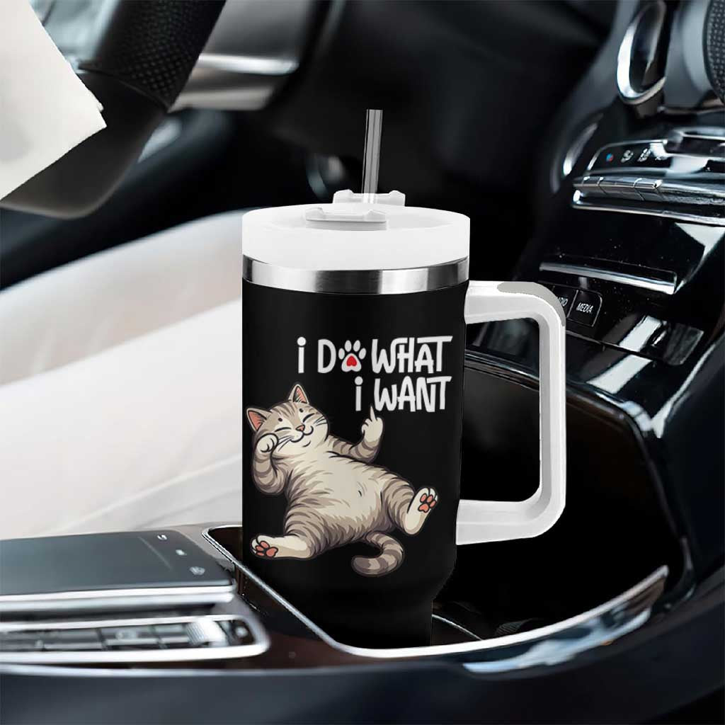 Funny Cat Tumbler With Handle I Do What I Want