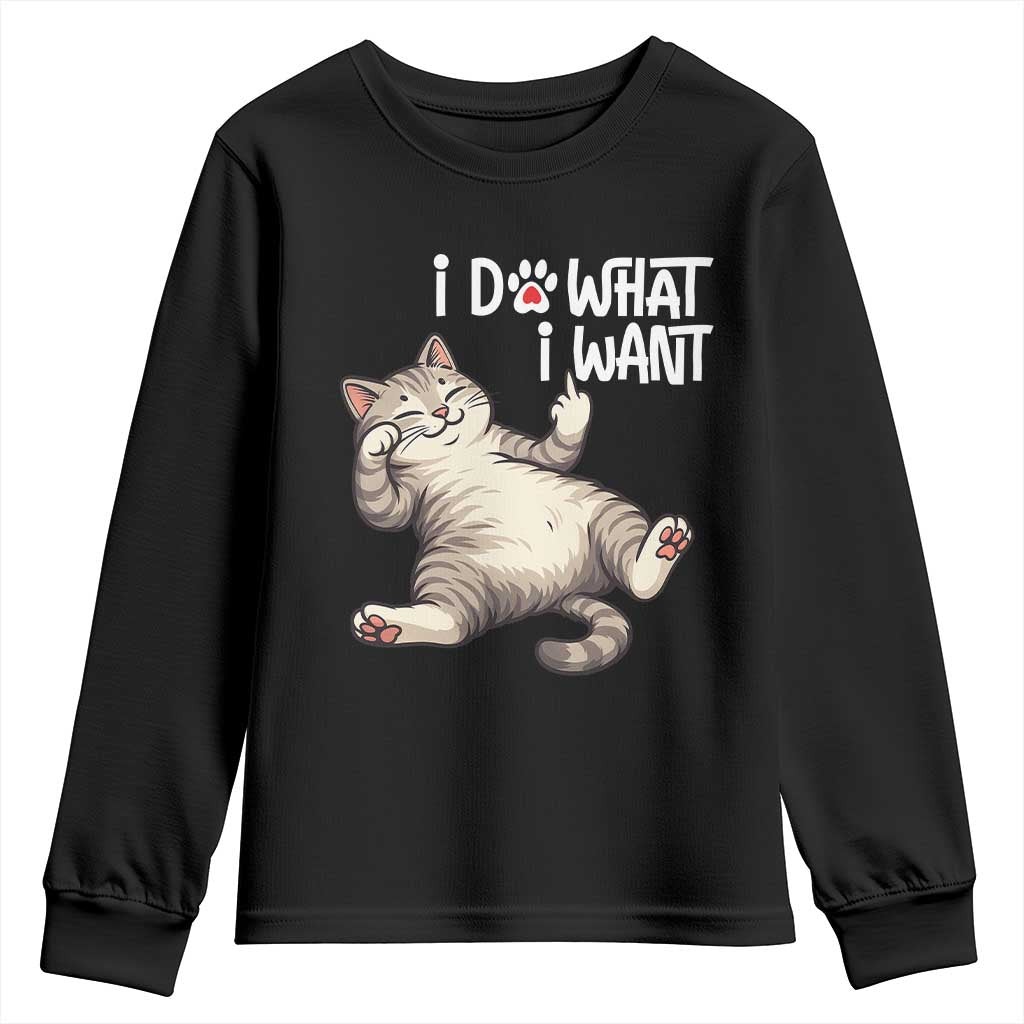 Funny Cat Youth Sweatshirt I Do What I Want - Wonder Print Shop