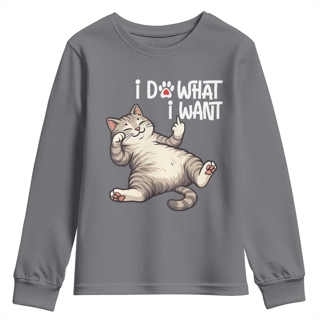 Funny Cat Youth Sweatshirt I Do What I Want - Wonder Print Shop