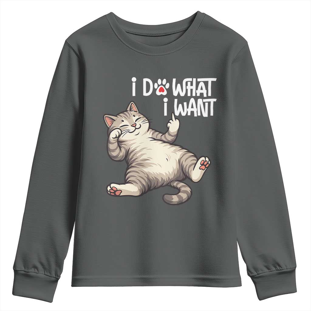 Funny Cat Youth Sweatshirt I Do What I Want - Wonder Print Shop