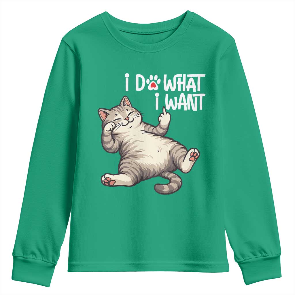 Funny Cat Youth Sweatshirt I Do What I Want - Wonder Print Shop