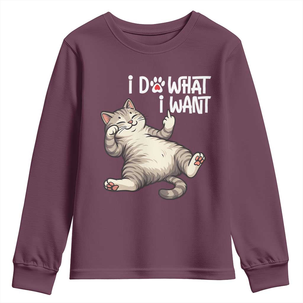 Funny Cat Youth Sweatshirt I Do What I Want - Wonder Print Shop