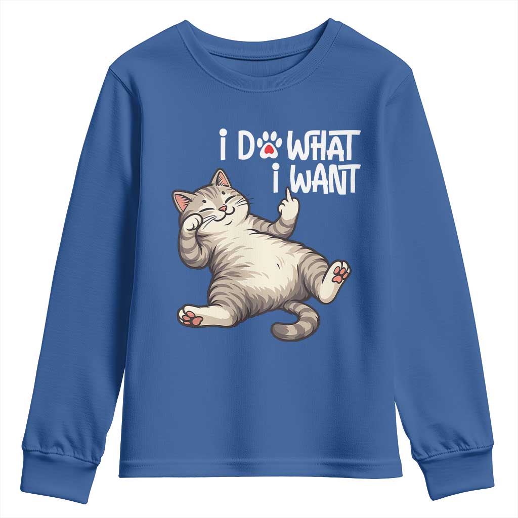 Funny Cat Youth Sweatshirt I Do What I Want - Wonder Print Shop