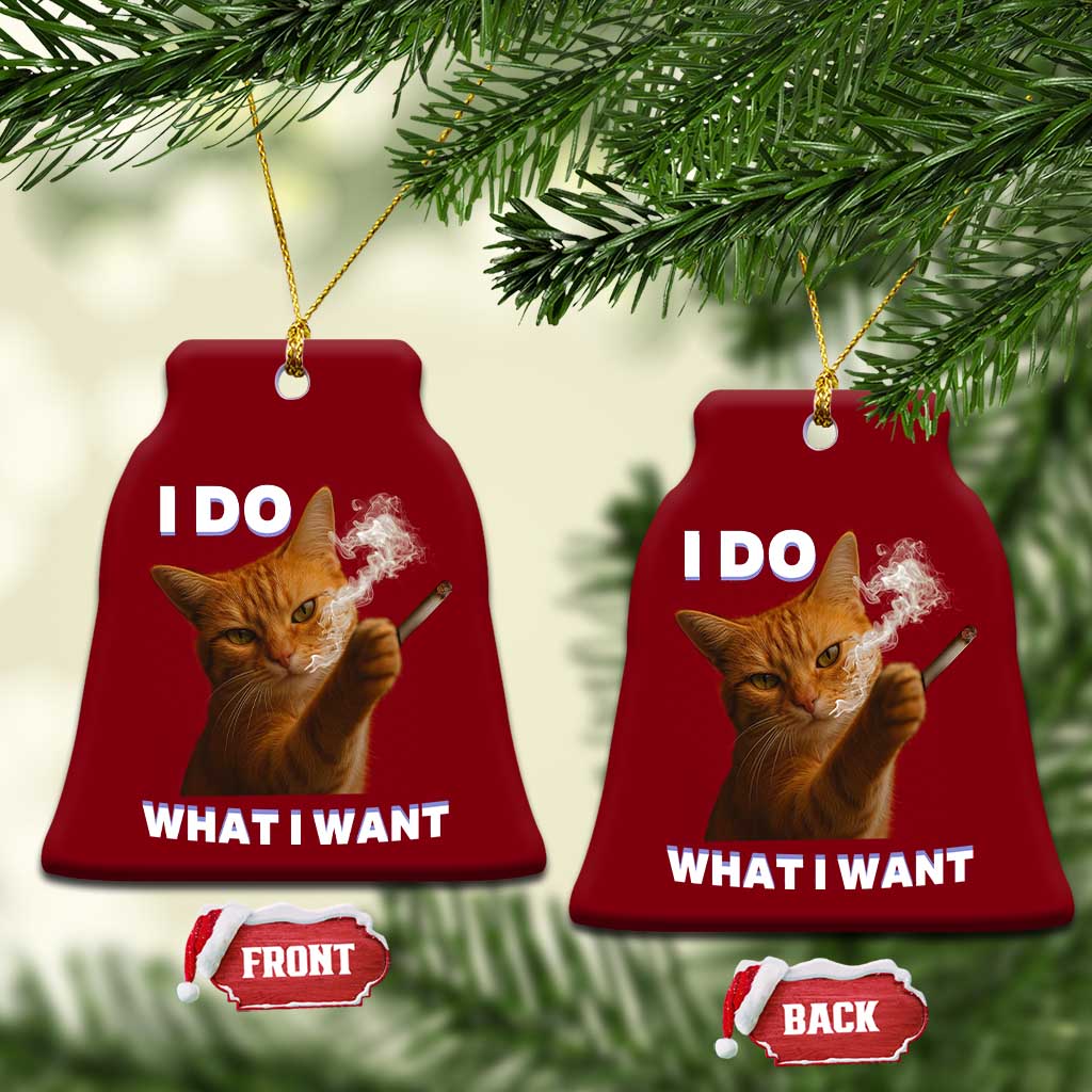 Funny Smoking Cat Ceramic Ornament I Do What I Want Sarcastic Cats Meme - Wonder Print Shop