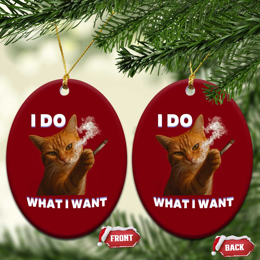 Funny Smoking Cat Ceramic Ornament I Do What I Want Sarcastic Cats Meme - Wonder Print Shop