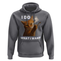 Funny Smoking Cat Hoodie I Do What I Want Sarcastic Cats Meme - Wonder Print Shop