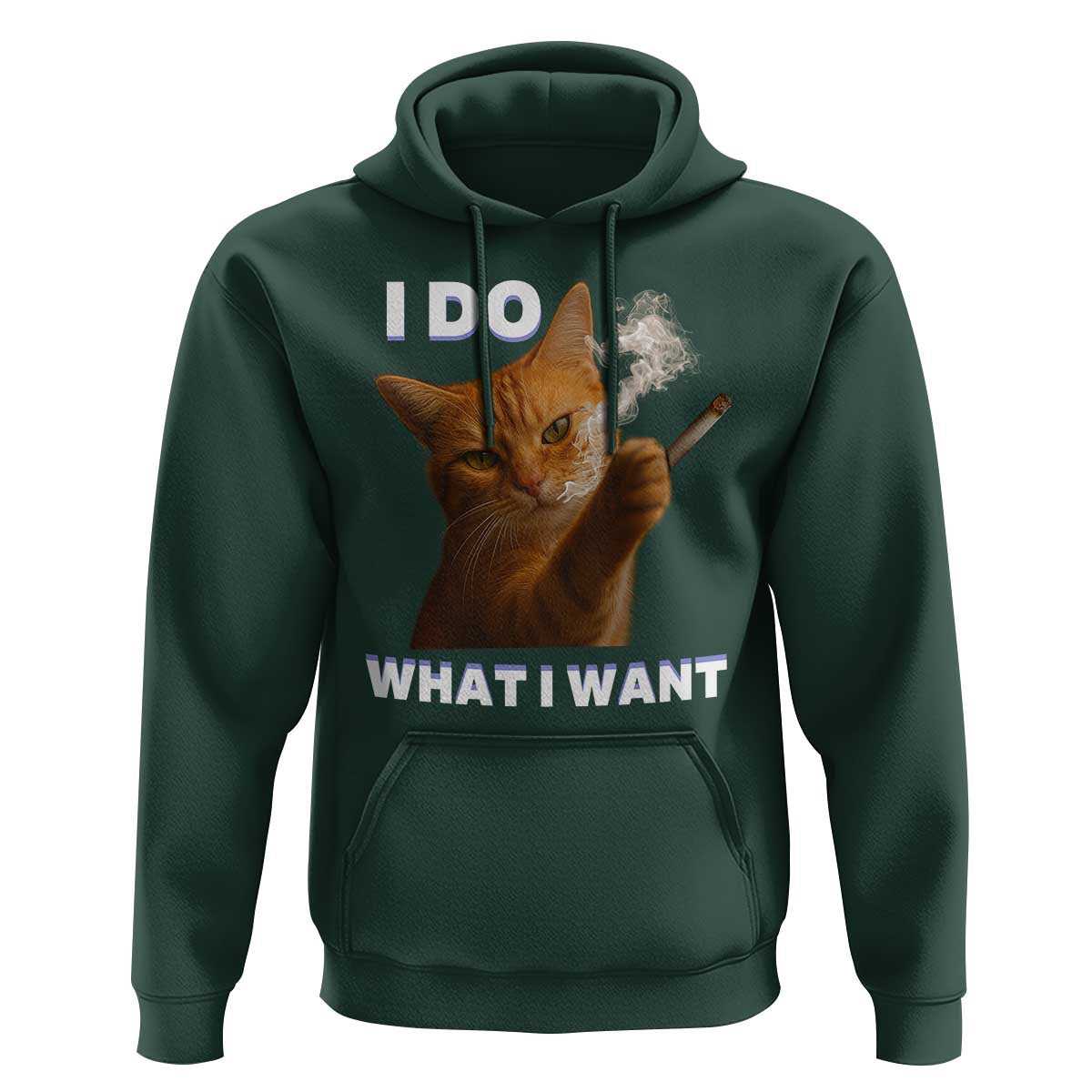 Funny Smoking Cat Hoodie I Do What I Want Sarcastic Cats Meme - Wonder Print Shop