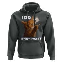 Funny Smoking Cat Hoodie I Do What I Want Sarcastic Cats Meme - Wonder Print Shop