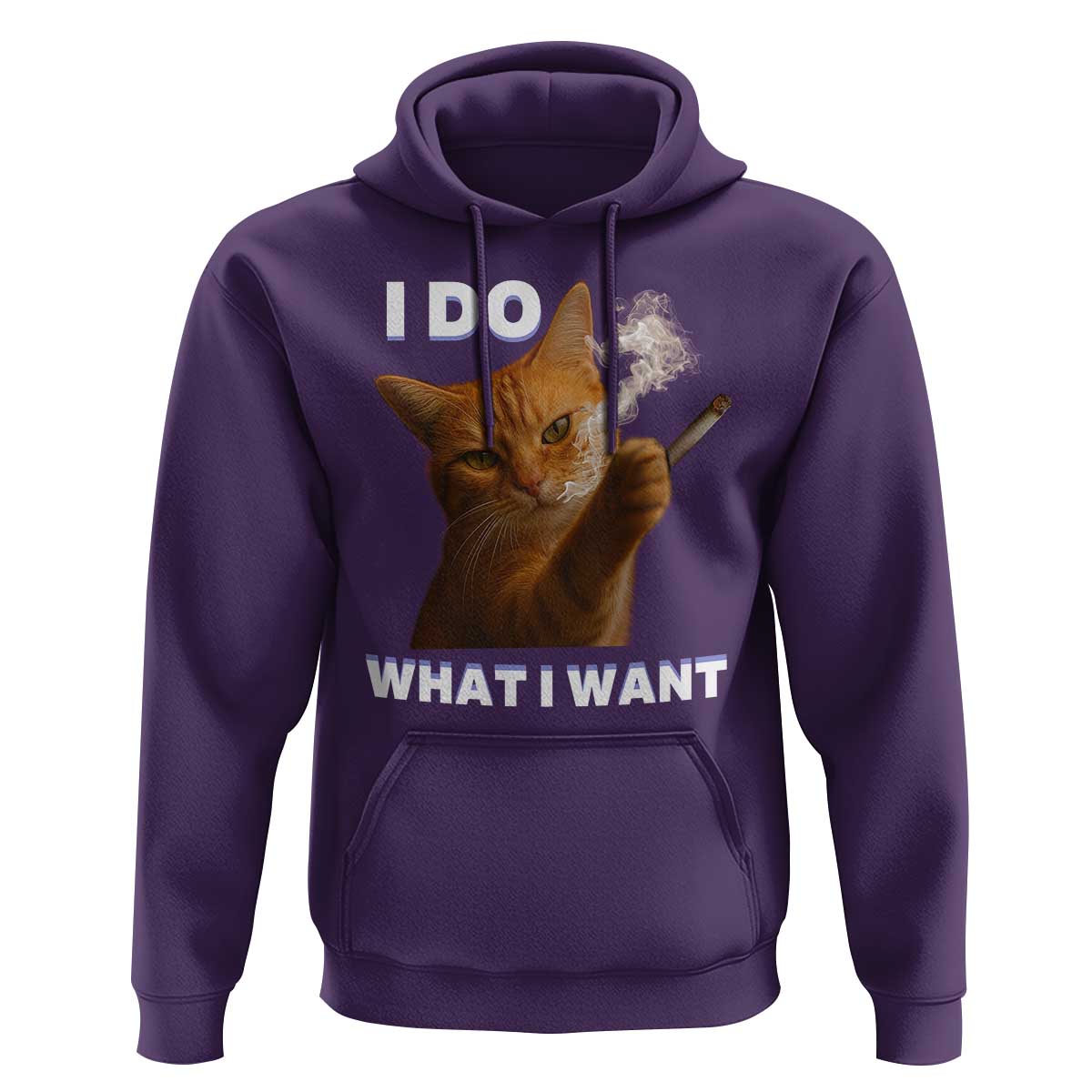 Funny Smoking Cat Hoodie I Do What I Want Sarcastic Cats Meme - Wonder Print Shop